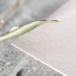 feines NaturPapier mit Trockenblumen