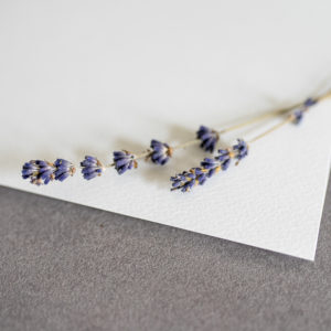 Strukturpapier_A4_Altweiß