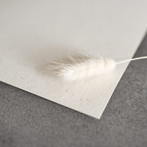 Naturpapier_beige_Karten selbst drucken